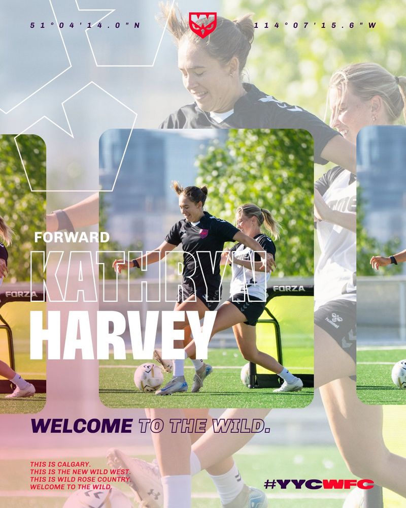 Background is composite photo of player in action pose. Text in the middle foreground reads "Forward Kathryn Harvey"