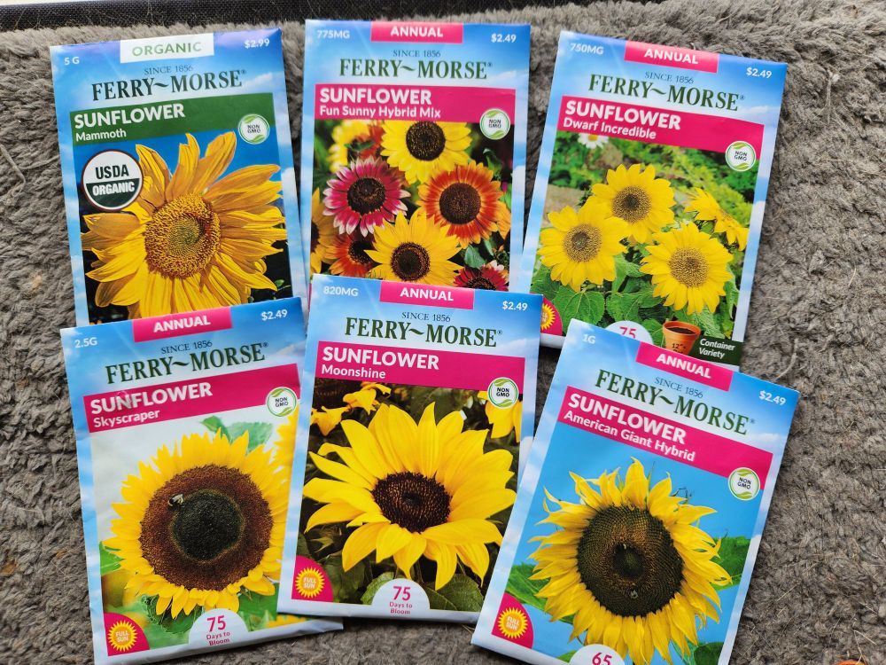Seed packets: mammoth sunflowers, fun sunny hybrid mix sunflowers, dwarf incredible sunflowers, skyscraper sunflowers, moonshine sunflowers, and American giant hybrid sunflowers. 