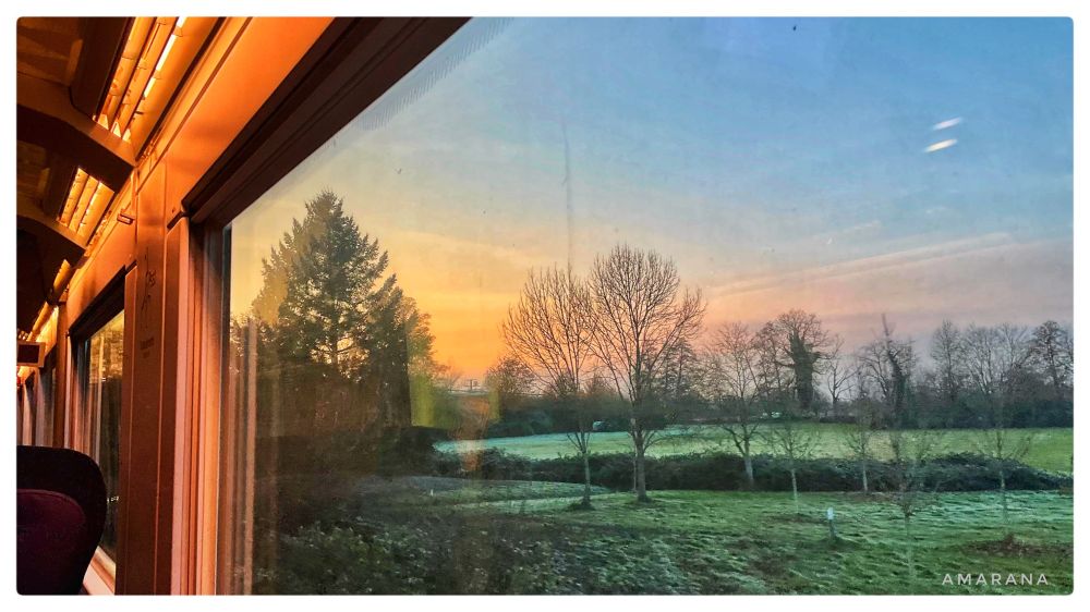 Natur mit beginnendem Sonnenuntergang aus dem Zug raus