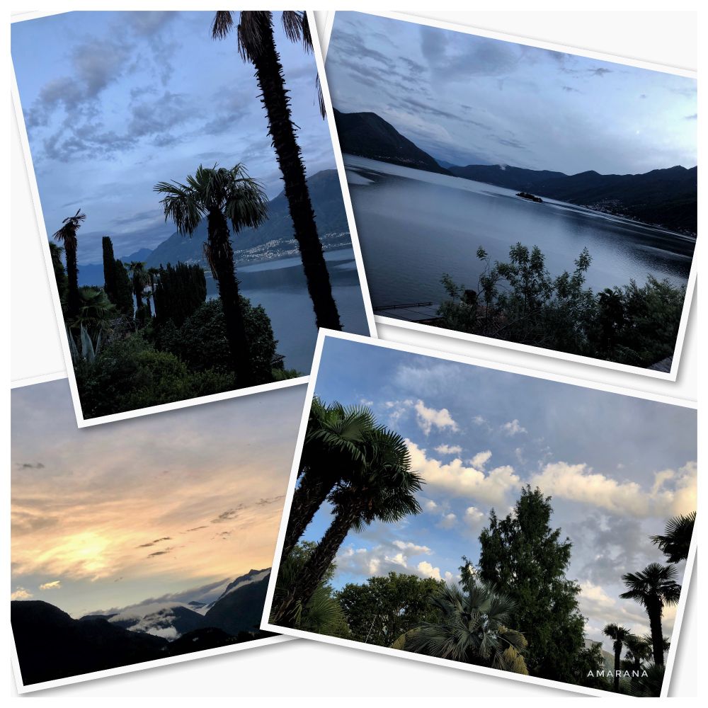 Fotocollage von vier Fotos. Himmel in der Dämmerung, Palmen und See