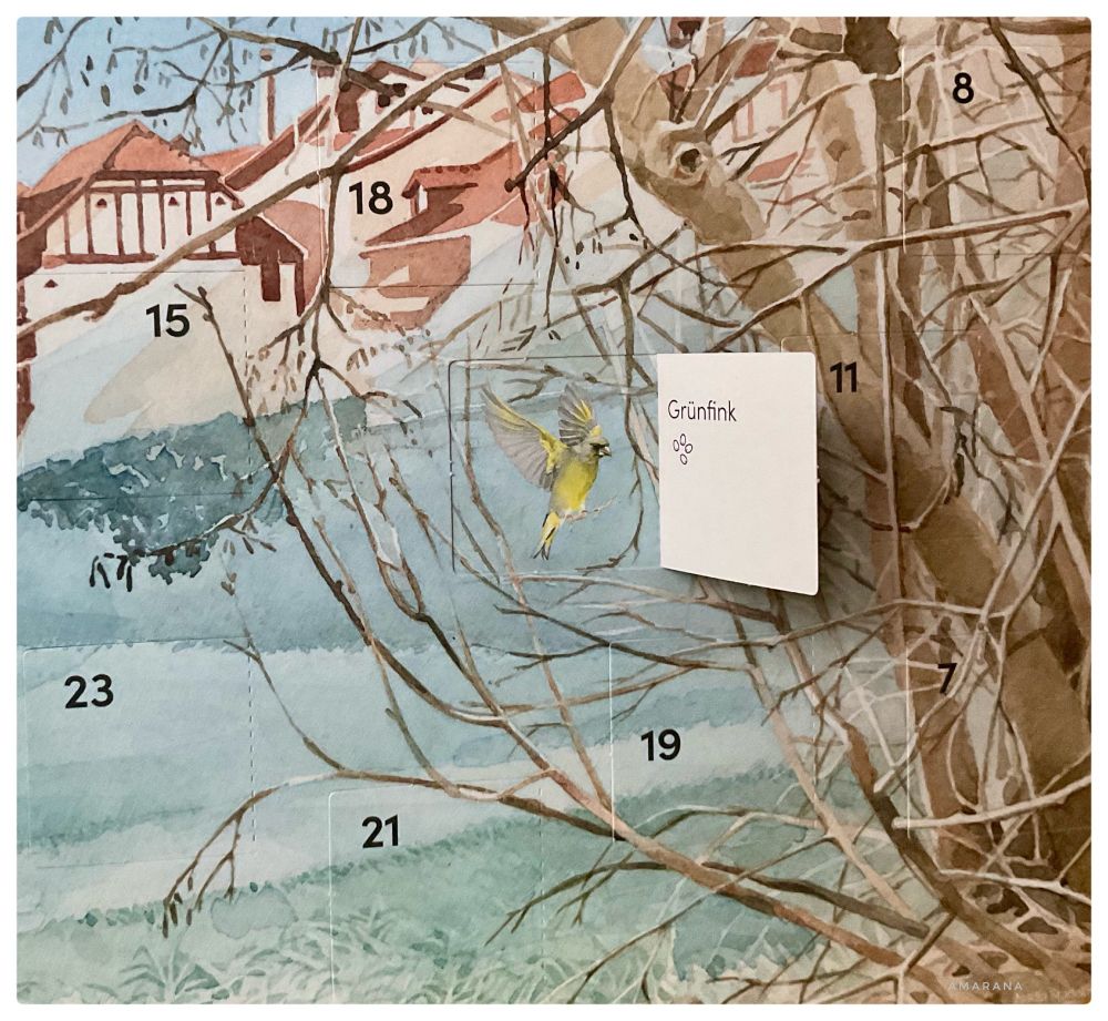 Ein gemalter Adventskalender mit einem offenen Türchen für den 1. Dezember. Man sieht einen Grünfink 