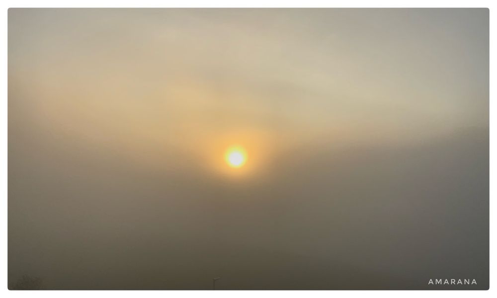 Die Silhouette einer in Nebel gehüllten Landschaft. Die Sonne ist ein kreisförmiger Punkt