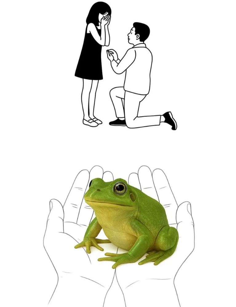Frog proposal 