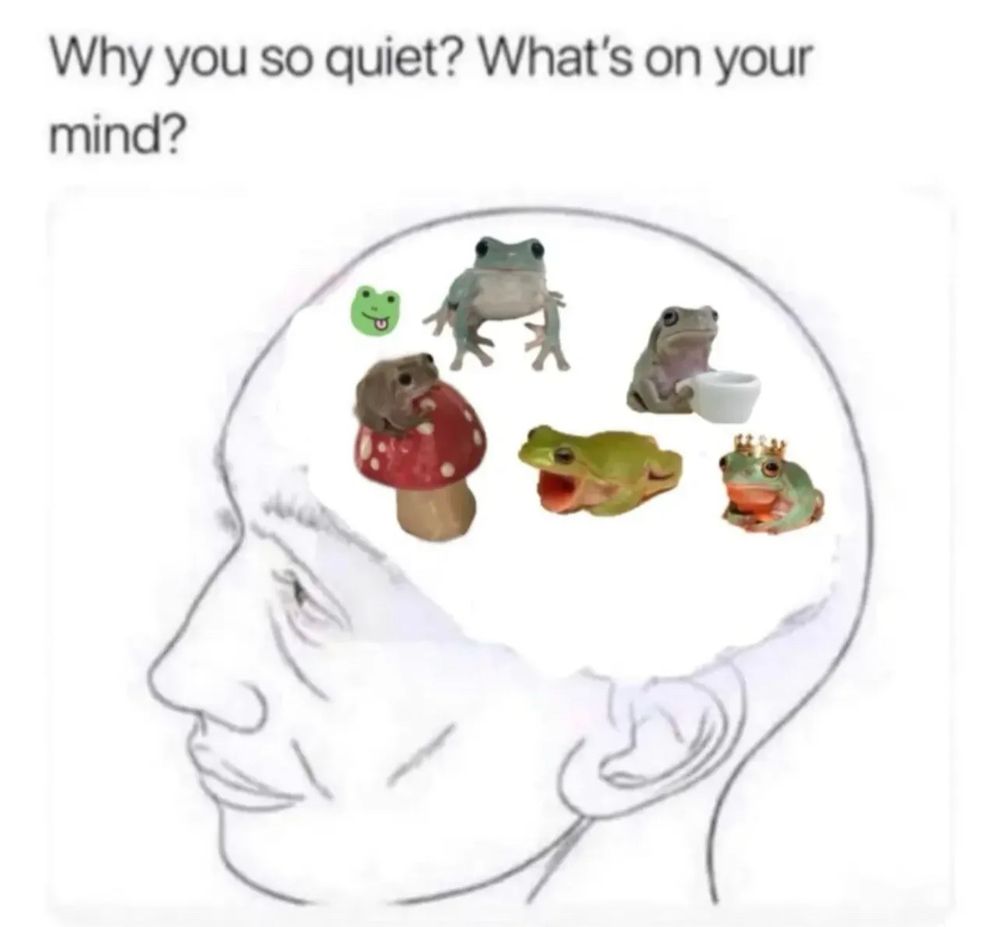 My brain 🙂‍↕️