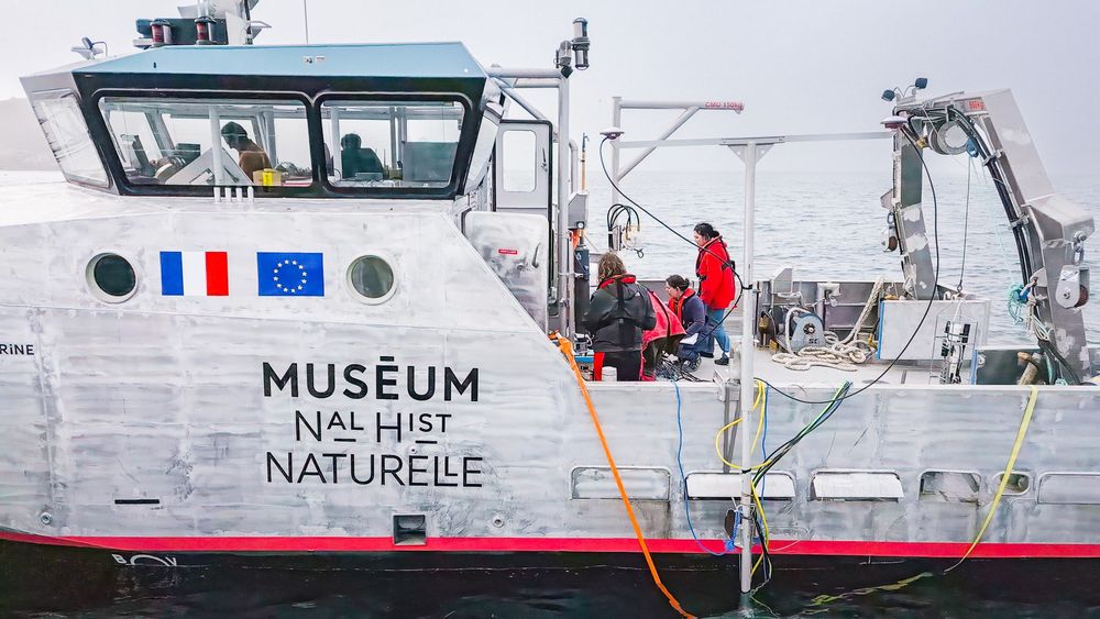La Korrigane, le navire de recherche bas-carbone du Muséum © C. Guillou