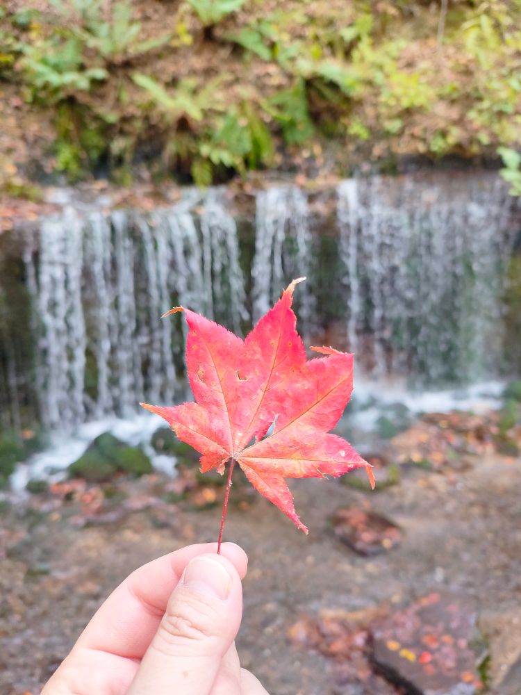 手前に紅葉、
奥に軽井沢の白糸の滝
