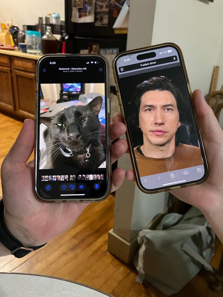 Two phones, one with a pic of my cat, the other with Adam driver. They look mysteriously alike.