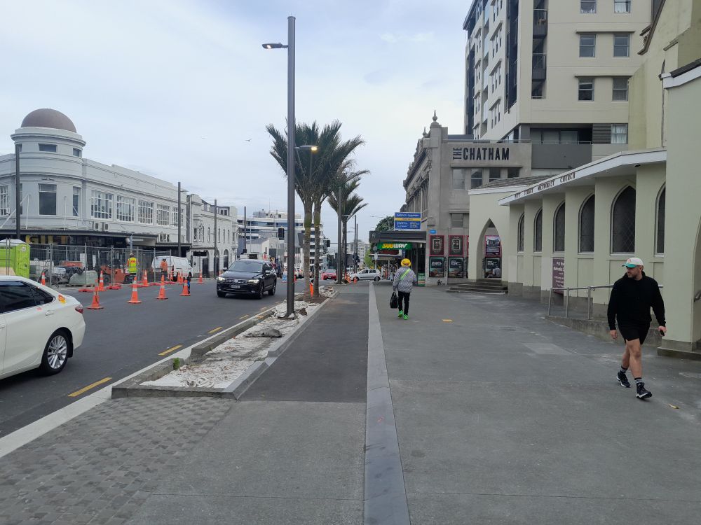 Newly-planted nikau palms in Pitt St, Auckland
