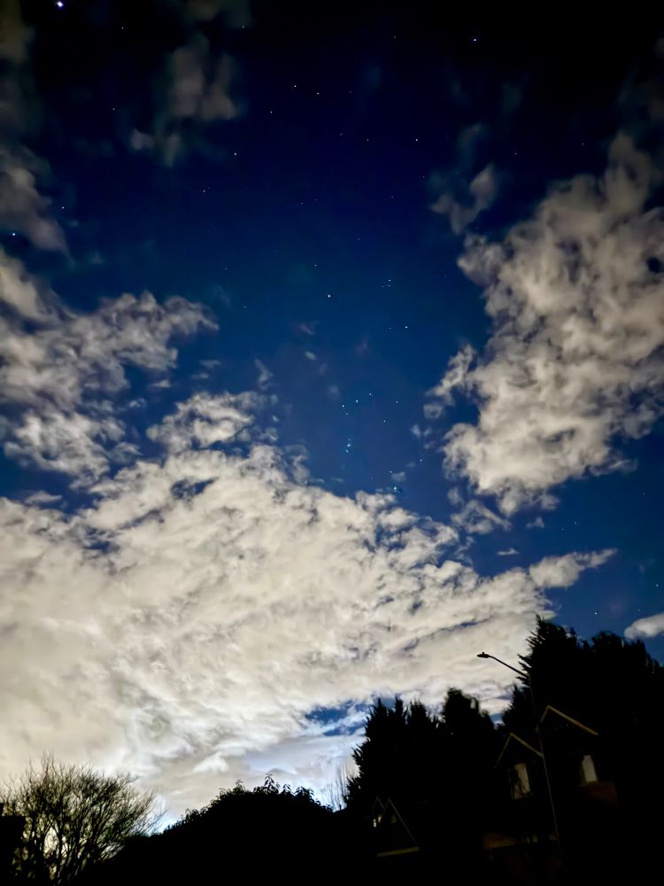 A night photo of the sky. The bottom quarter of the image is a dark silhouette of trees on the horizon.  Bright white clouds take up most of the middle half of the picture. The top of the image is mostly a dark blue sky with some clouds and pinpricks of stars here and there. The constellation Orion is partially visible in the middle of the sky. 