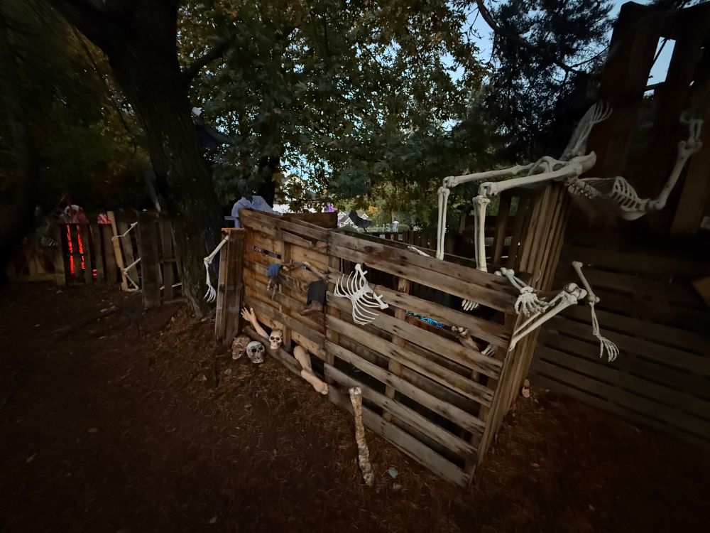 A wooden rail fence adorned with many bones and skulls. 