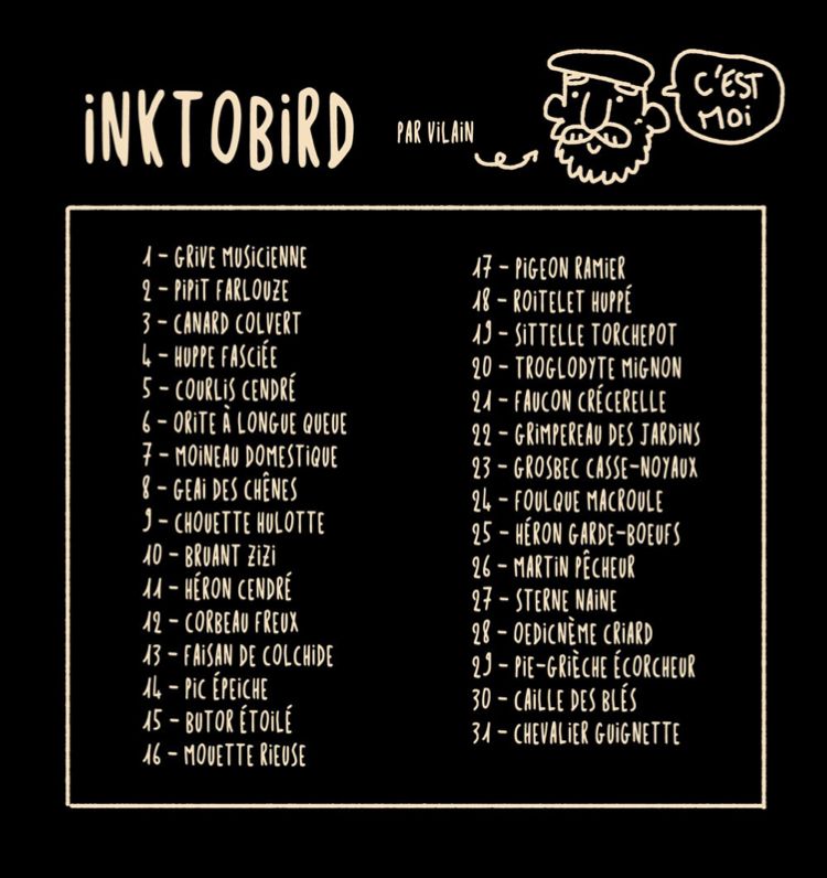 Inktobird
1 - grive musicienne 
2 - pipit farlouse
3 - canard colvert
4 - huppe faciée 
5 - courlis cendré
6 - orite à longue queue 
7 - moineau domestique 
8 - geai des chênes
9 - chouette hulotte 
10 - bruant zizi
11 - héron cendré 
12 - corbeau freux
13 - faisan de colchide
14 - pic épeiche 
15 - butor etoilé
16 - mouette rieuse 
17 - pigeon ramier
18 - roitelet huppé 
19 - sittelle torchepot
20 - troglodyte mignon 
21 - faucon crécerelle 
22 - grimpereau des jardins 
23 - grosbec casse-noyaux
24 - foulque macroule
25 - héron garde-boeufs
26 - martin pêcheur 
27 - sterne naine 
28 - oedicnème criard
29 - pie-grièche ecorcheur
30 - caille des blés
31 - chevalier guignette