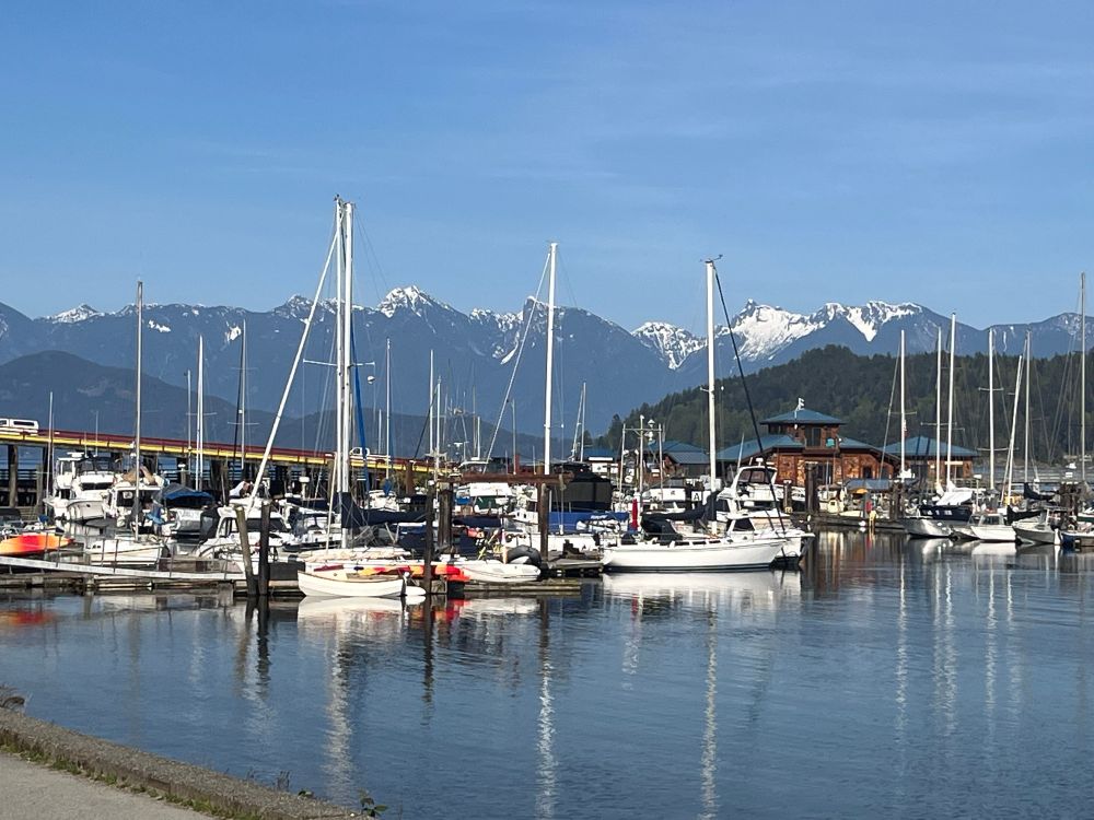 Boats in a harbor with snow-capped mountains in the background