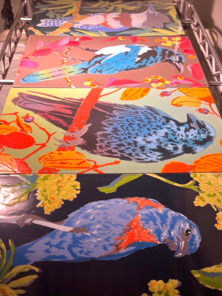 A series of colorful birds depicted in enamel fired onto steel panels lined up on a shelf. All colors have been fired onto the metal and the images await black line work, the final firing in the process. Enamels are fired onto steel one color at a time for 2-5 minutes at 1350-1500° F. The birds from top to bottom are a Belted Kingfisher, a Black-billed Magpie, an American Crow, and a Western Bluebird.