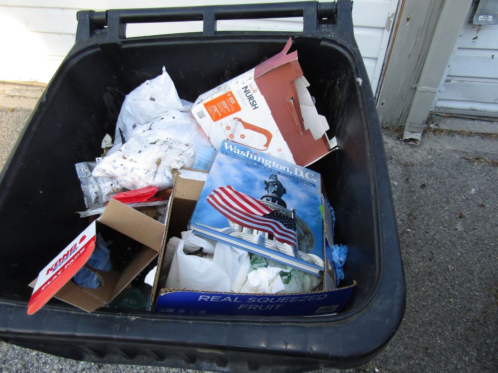A Coffee table about about #Washington DC, tossed into the trash.
