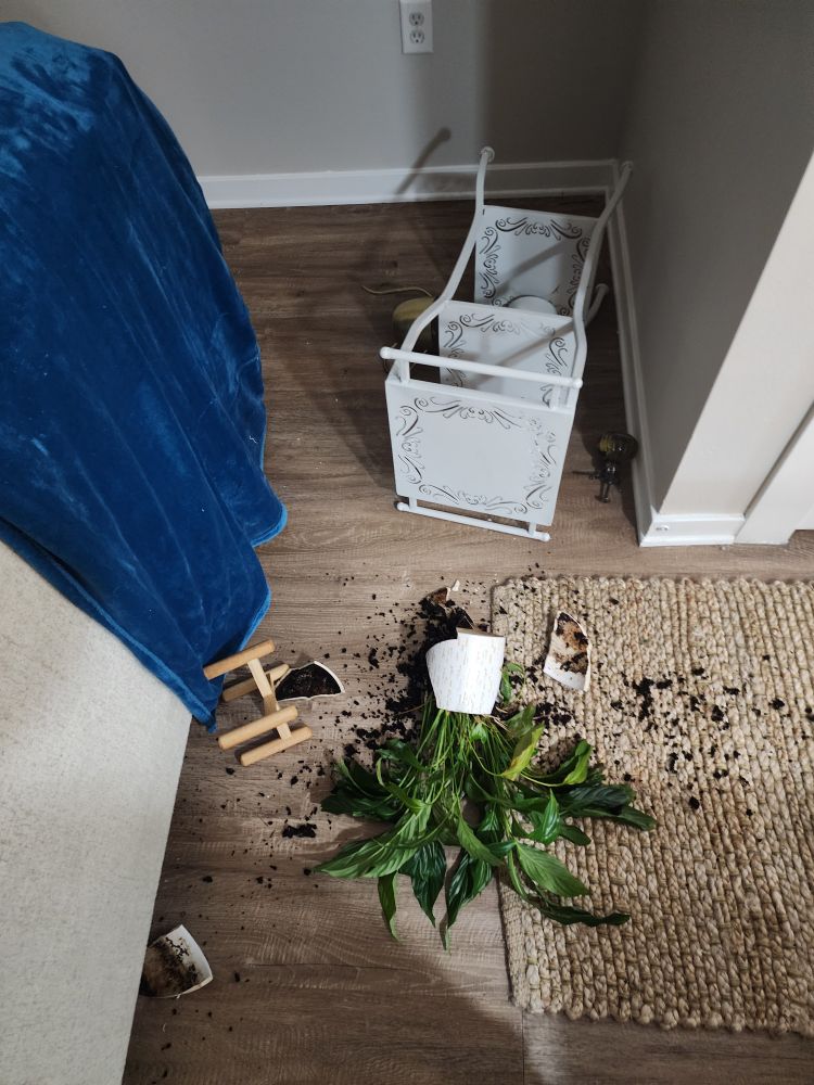 Broken plant pot and white metal table strewn across ground. Dirt in carpet. Pot in pieces.