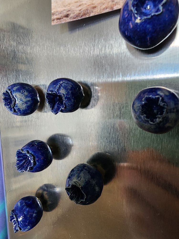 6 magnets, ceramic blueberries, on fridge