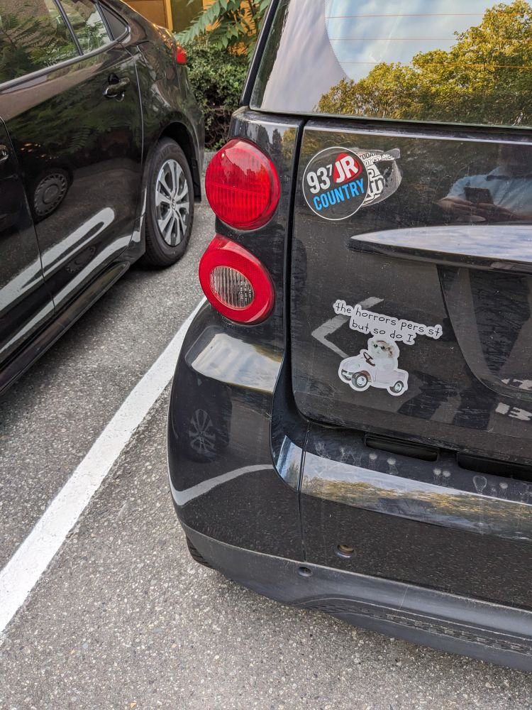 Sticker on the back of a black car reads 