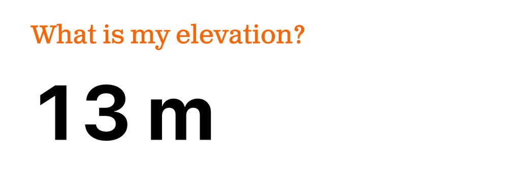 Screenshot of the ‘what is my elevation’ website which shows I’m 13m elevated 