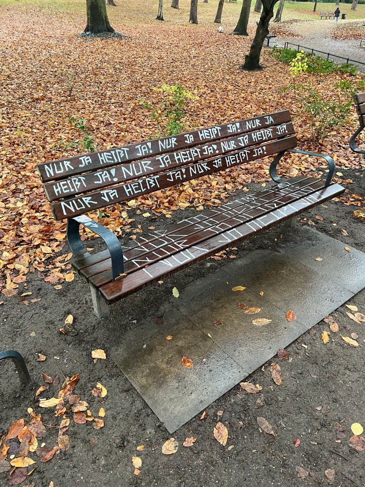 Eine park Bank wo über und über nur ja heist ja draufgeschrieben steht 