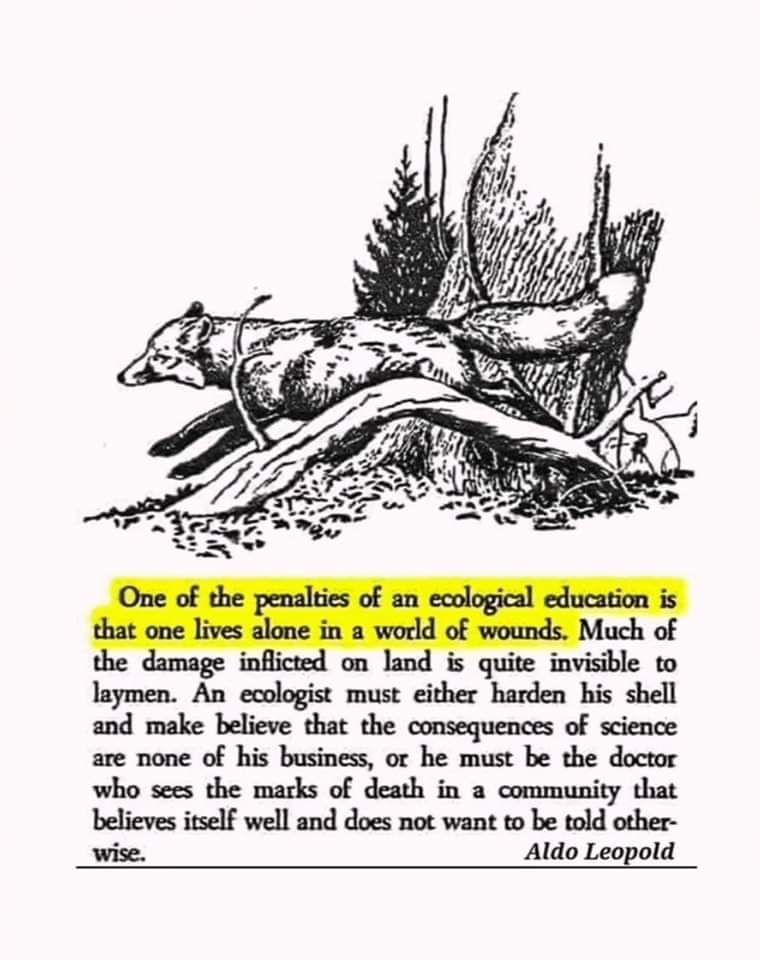 A quote from Aldo Leopold about the pain of seeing ecological destruction that most people can't see or understand.