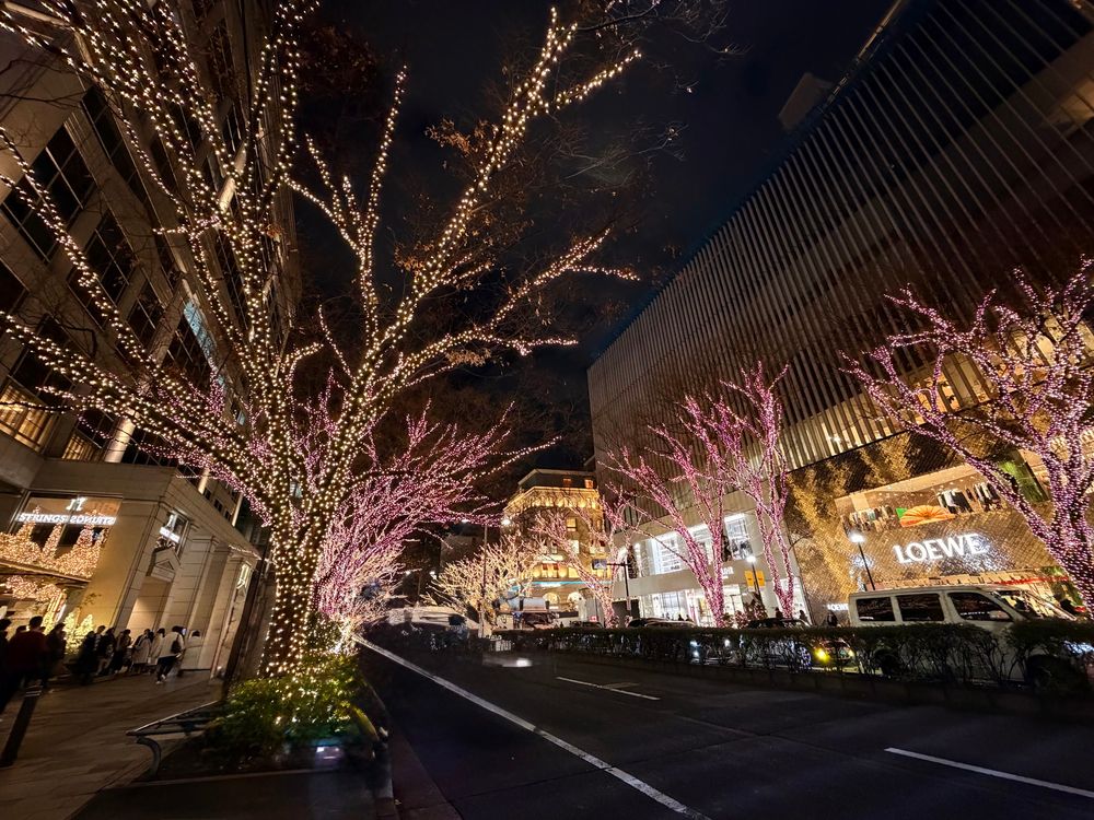 夜の表参道。ブランドショップが並ぶ大通りの両側で、街路樹にイルミネーションが巻かれ、ライトアップされた建物の前を人々が行き交っている様子。