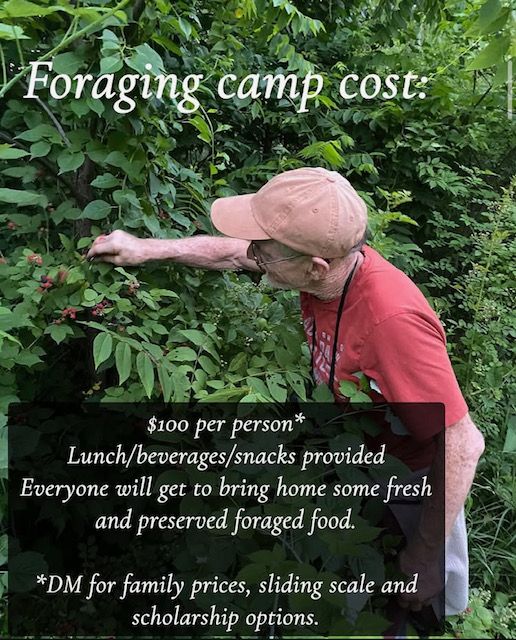 Words over a photo of an elder white man wearing a baseball cap and red t-shirt in a green shrubby area say "$100 per person* Lunch/beverages/snacks provided. Everyone will get to bring home some fresh and preserved foraged food. *DM for family prices, sliding scale and scholarship options"