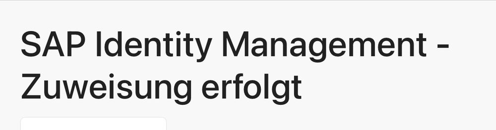 SAP Identity Management - Zuweisung erfolgt