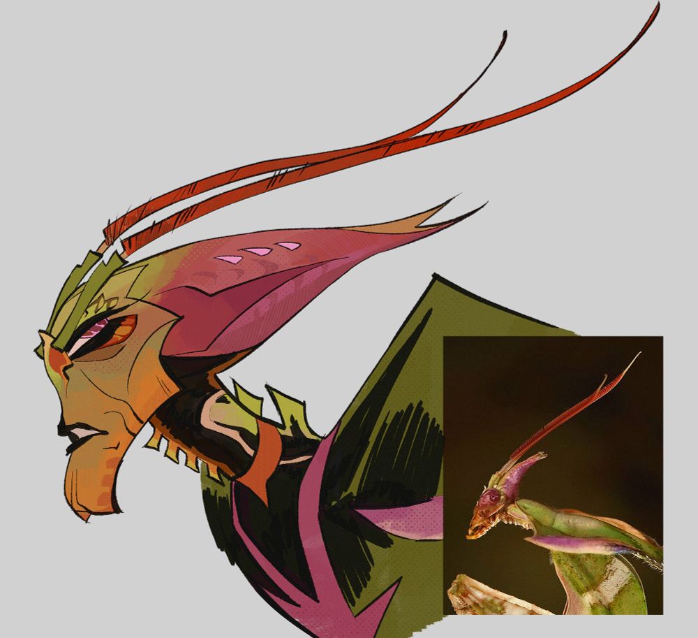 A second bust drawing of the same idea, but vibrant pink and green