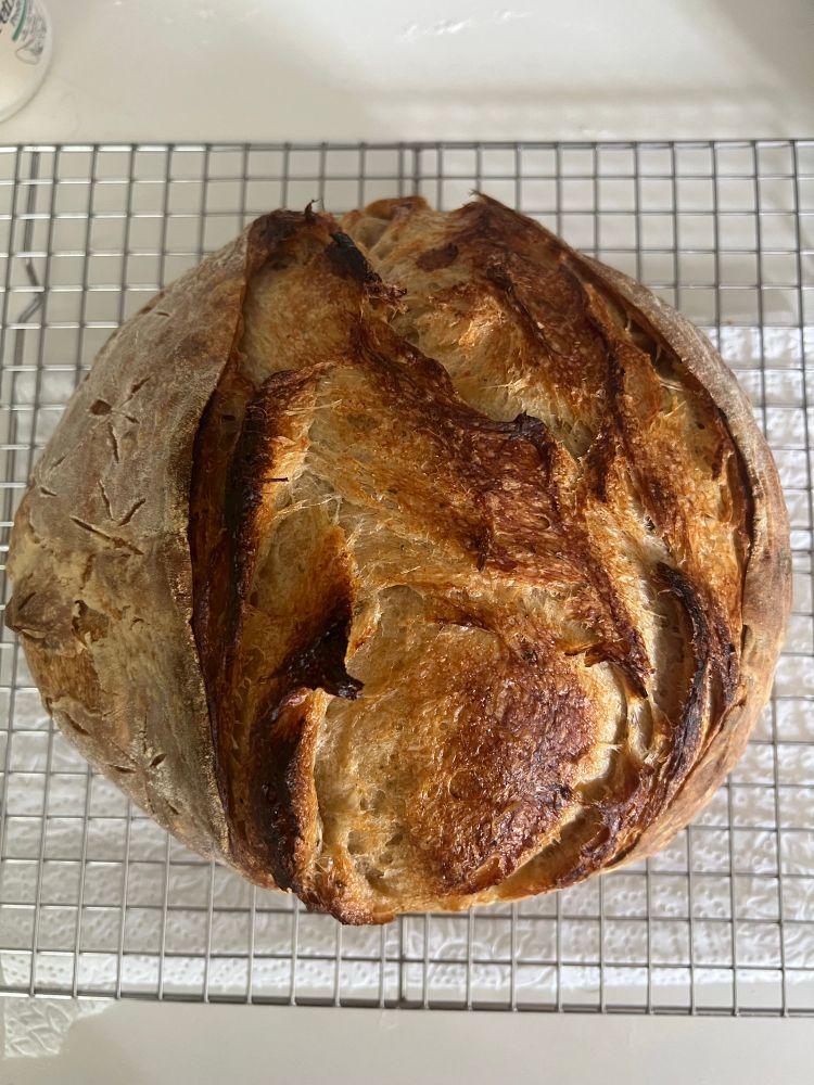 A sourdough round loaf with rosemary, caramelized garlic and butter