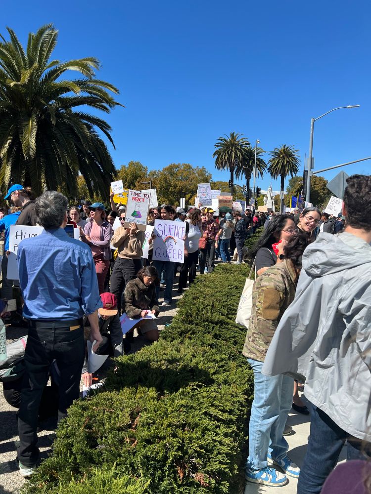Pro science crowd standing along Vetran Ave in Los Angeles