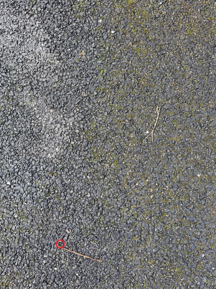 Valve cap circled in red on tarmac