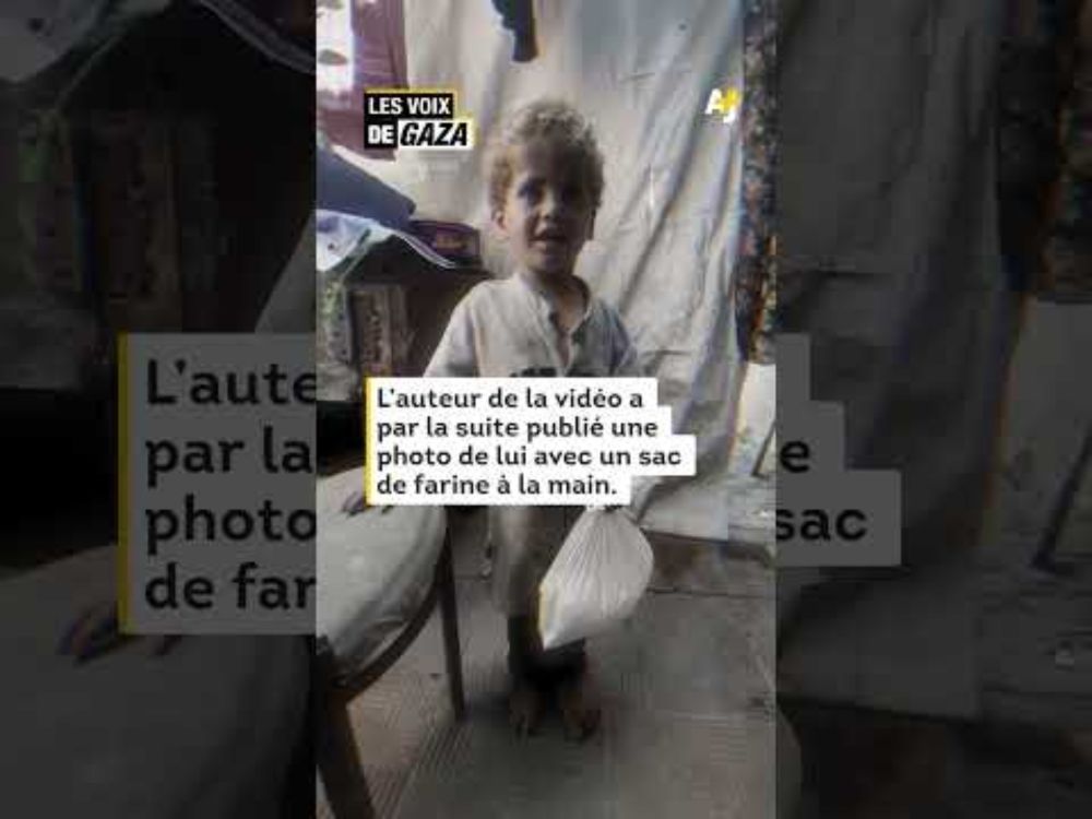 À Gaza, un enfant frappe aux portes pour un morceau de pain