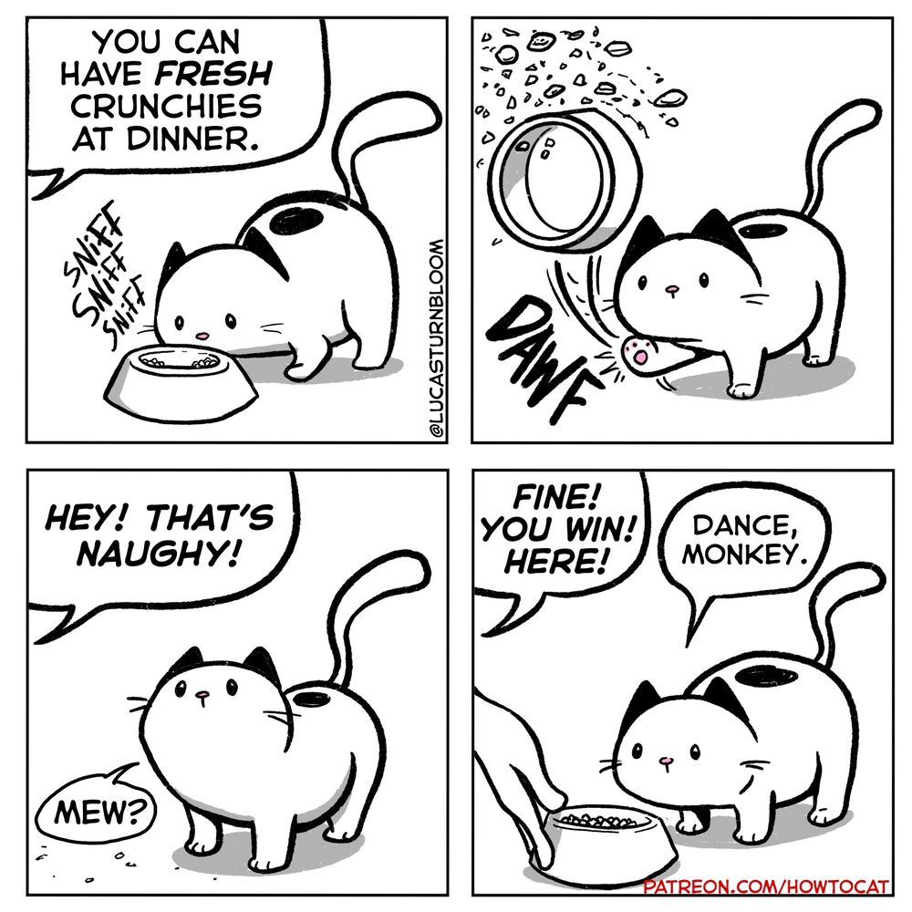P1:You can have fresh crunchies at dinner.
P2: (cat kicks the bowl) DAWF!
P3: Hey! That’s Naughty!
P4: Human says: Fine! You win! Cat says: Dance monkey.