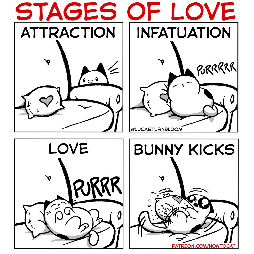 Stages of Love
P1: Attraction
P2: infatuation
P3: Love
P4: Bunny Kicks