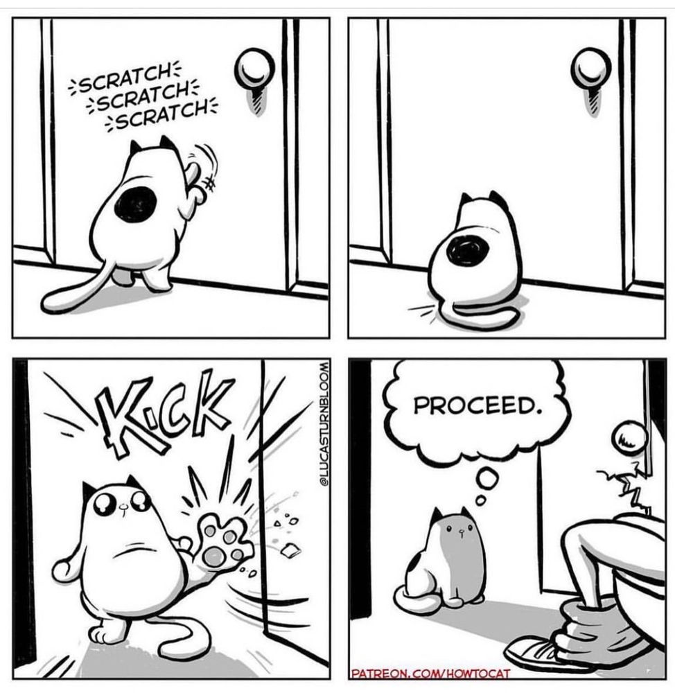 P1: scratch, scratch, scratch at the door
P2: (cat sits down)
P3: KICK! Cat kicks door open
P4: cat says, “proceed.”