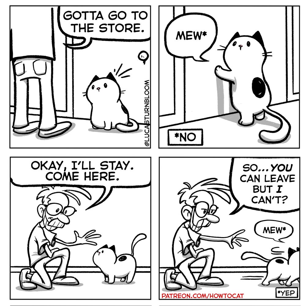 P1: Gotta go to the store
P2: MEW (no)
P3: Okay, I’ll stay. Come here.
P4: Human:So, you can leave but I can’t? 
Cat: Mew (yes)