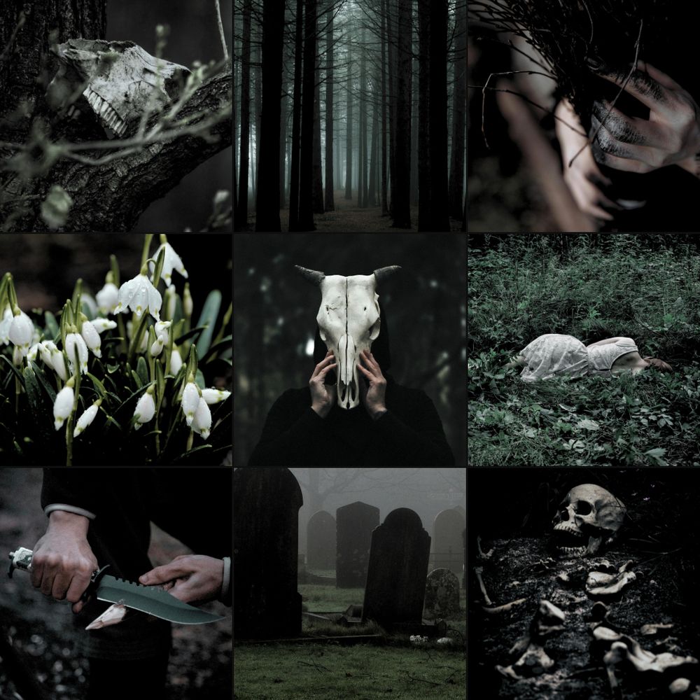 A collage of nine images including: the upper skeletal head of an animal wedged in a tree branch, a dark forest of leafless trees, blackened hands holding a bundle of dried stems, snowdrop flowers glistening with dew, hands holding a cow skull in front of a face, a woman in a white dress lying in the grass with her back to the camera, hands sharpening a stick to a point with a large hunting knife, a dark graveyard with silhouetted gravestones, and a human skeleton have buried in the ground. Images sourced from Unsplash and Pexels. 