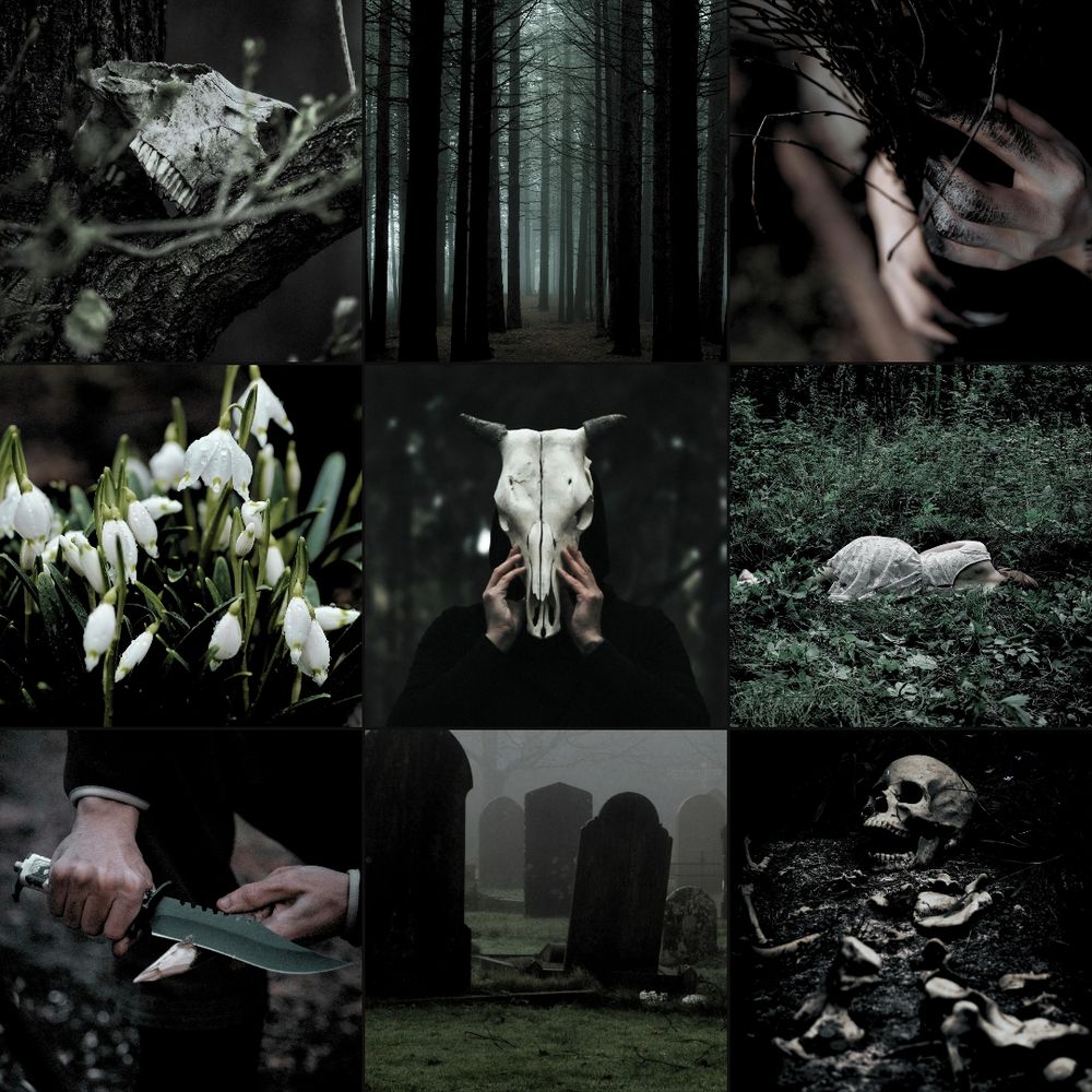 A collage of nine images including: the upper skeletal head of an animal wedged in a tree branch, a dark forest of leafless trees, blackened hands holding a bundle of dried stems, snowdrop flowers glistening with dew, hands holding a cow skull in front of a face, a woman in a white dress lying in the grass with her back to the camera, hands sharpening a stick to a point with a large hunting knife, a dark graveyard with silhouetted gravestones, and a human skeleton have buried in the ground. Images sourced from Unsplash and Pexels. 