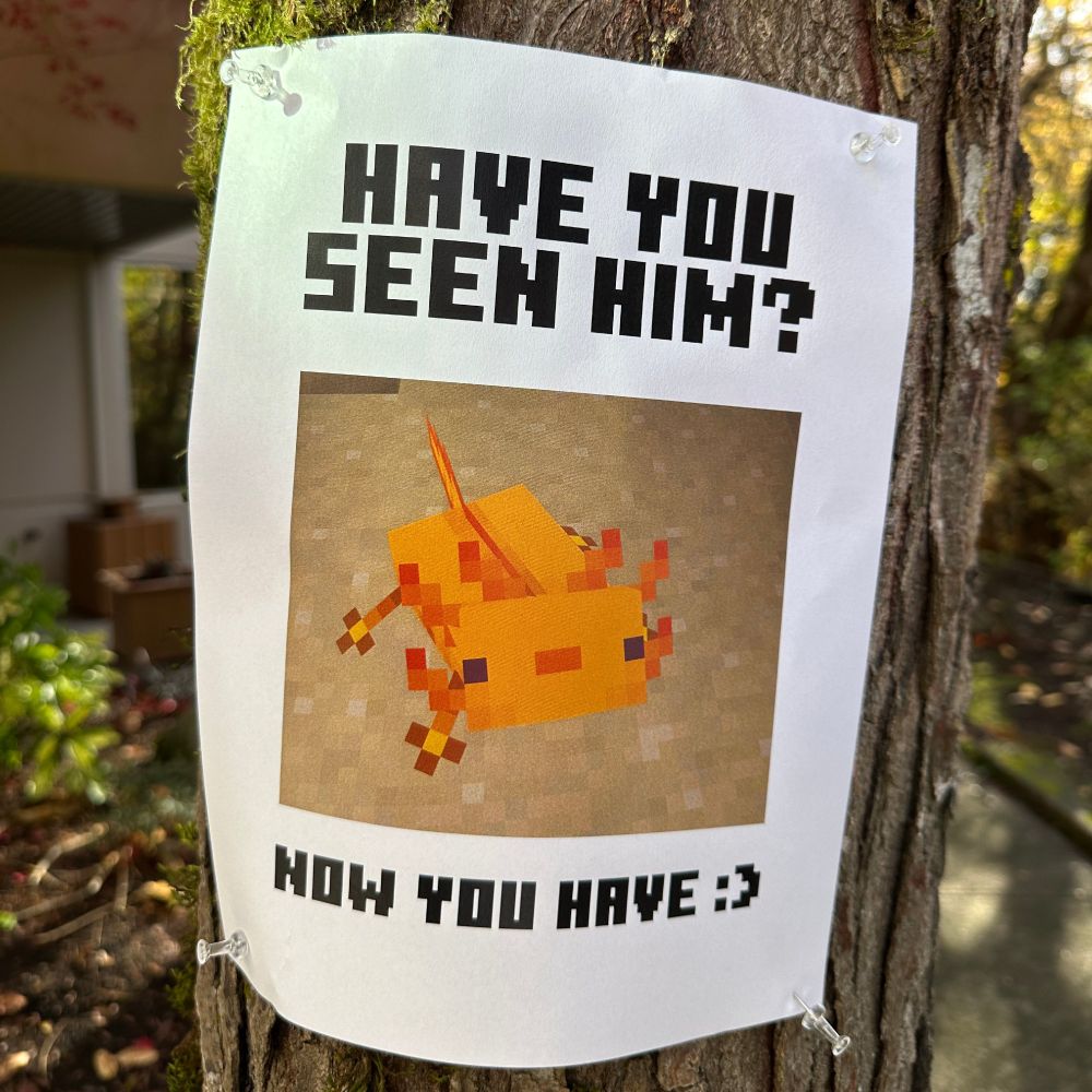 Real life image of a flyer tacked onto a tree with an image of a Minecraft Axolotl in the middle of it standing on a sandy floor. Text on top of the image says, "Have you seen him?" text underneath the image says "Now you have :)"
