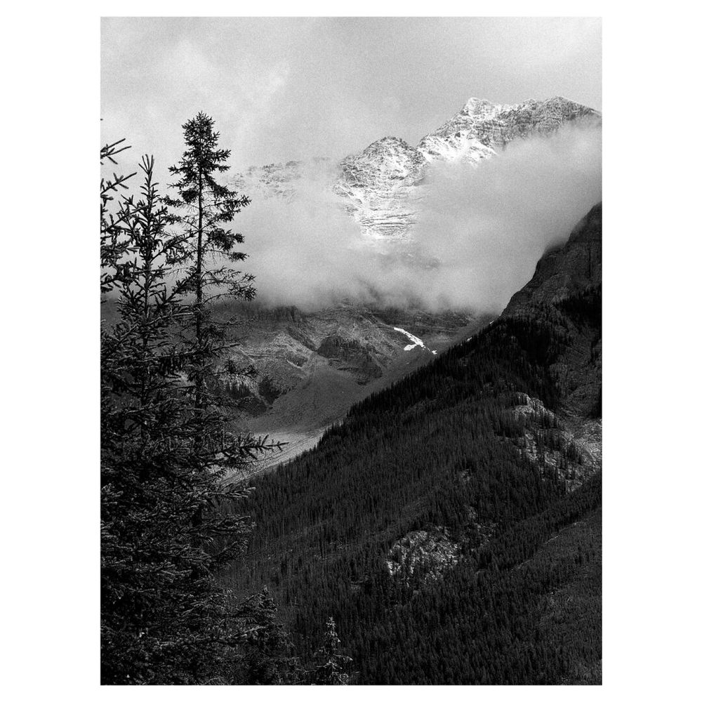 A mountainous landscape with a tree in the foreground. Black and white.