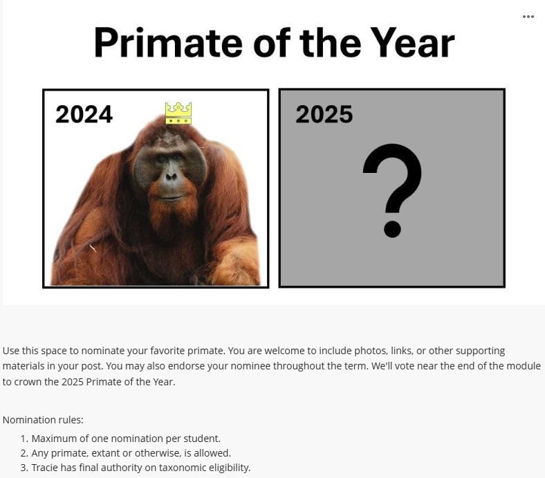 Announcement to primatology class encouraging students to elect a "primate of the year". Photo of 2024's winner (orangutan) wearing a cartoon crown, next to a box showing "2025 - ?"