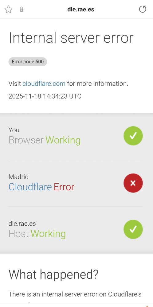 Captura de pantalla de la web de la RAE caída.