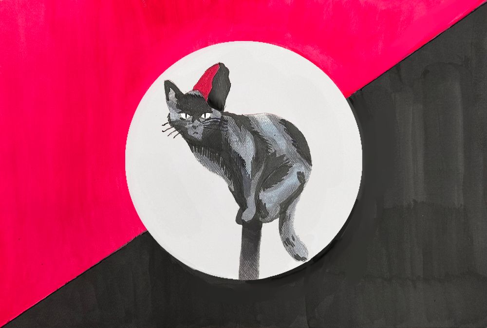 A black cat wearing a CNT-FAI hat on a background of the anarchists flag, referencing anarchist-syndicalism, specifically that of the anarchists in the Spanish civil war and the Industrial Workers of the World