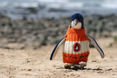 Blue penguin wearing a penguin random house sweater! 