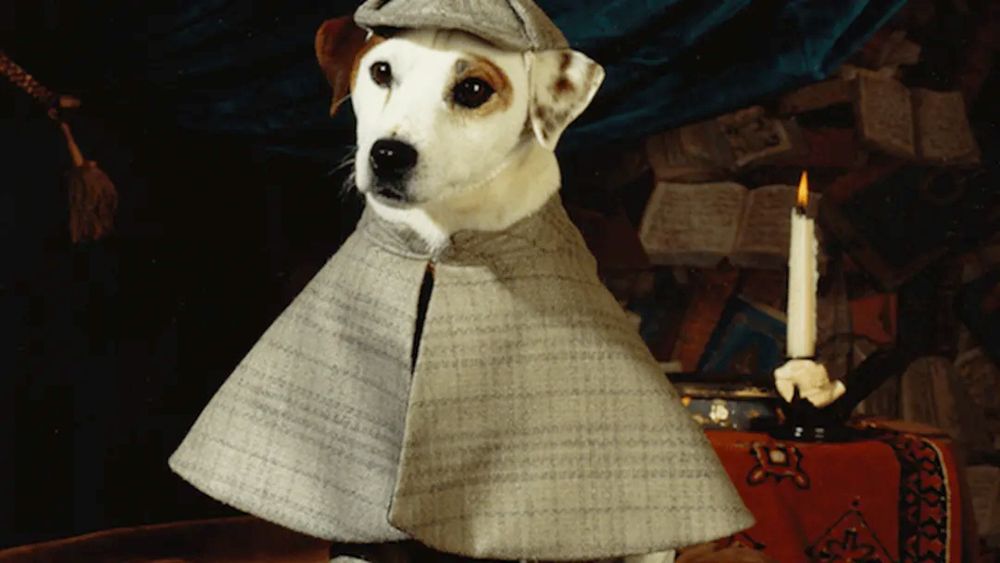 Wishbone the dog dressed as Sherlock Holmes 