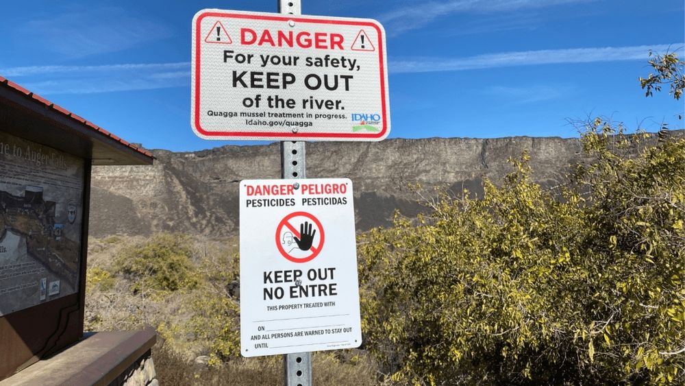 No Idaho quagga mussels detected yet in 2025 - Idaho Reports