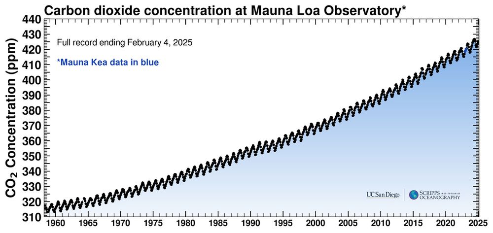 A graph of atmospheric carbon dioxide concentrations at the Mauna Loa observatory, Hawaii, from 1958 to 4th February 2025. It shows carbon dioxide levels rising at an accelerating rate over the decades. This is known to be due to emissions of carbon dioxide from human activity, mainly fossil fuel burning but also deforestation. The first CO2 concentration value in March 1958 was 315 parts per million (ppm). The latest daily value is 426 ppm. The graph also shows a seasonal cycle of a few ppm within each year, which is known to be linked to the growing season in the northern hemisphere causing a temporary uptake of carbon in spring and summer and release in autumn. The graph is produced routinely by the Scripps Institution of Oceanography, UC San Diego.