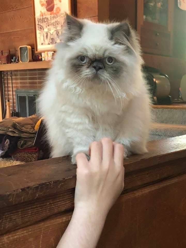 Just a little scritch