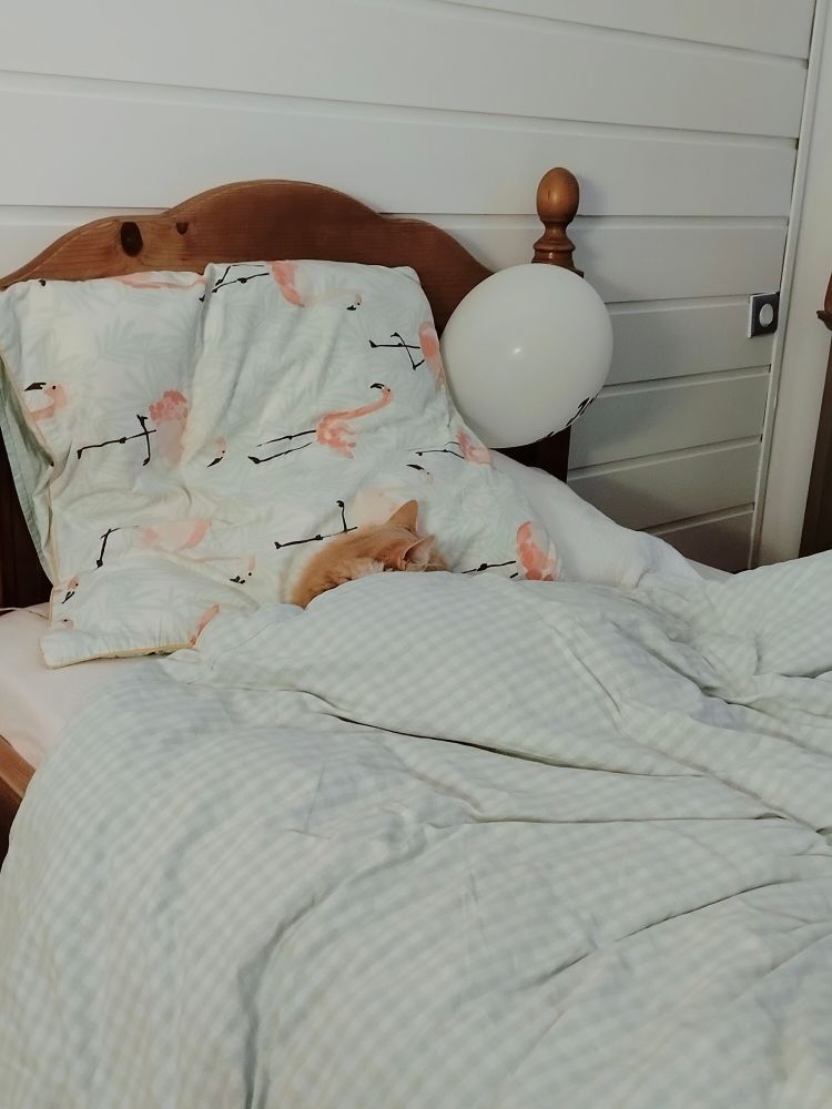 Un chat roux dont on ne voit que la tête, est allongé et bordé dans un lit aux draps clairs. Sa tête est posée sur l'oreiller, et le félin semble dormir profondément 