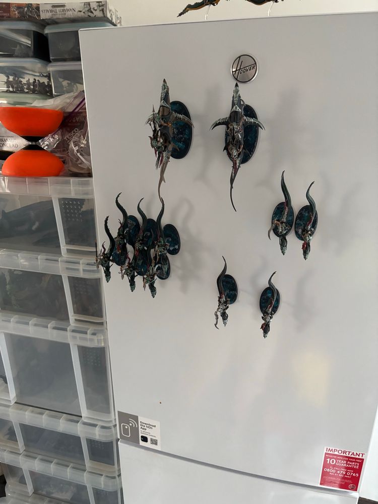 A selection of Idoneth Deepkin models for Age of Sigmar which, because they have magnets stuck to their bases for transport, were able to be stuck to the vertical front of a fridge freezer
